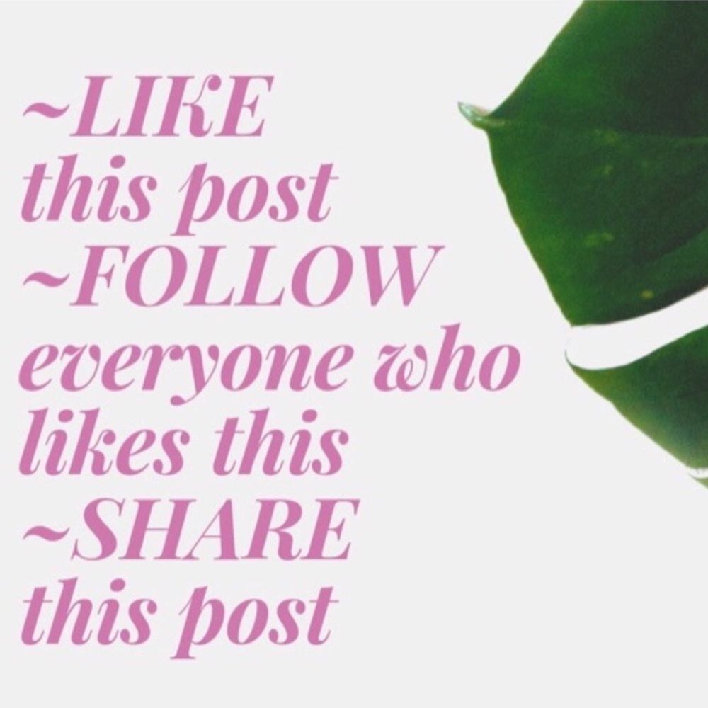 🌿🌼MY FOLLOW GAME🌼 - Picture 1 of 7